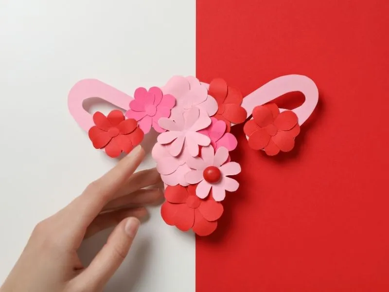 TRH — Terapia Hormonal na Menopausa: O Que É, Para Quem É Indicada e O Que a Ciência Diz